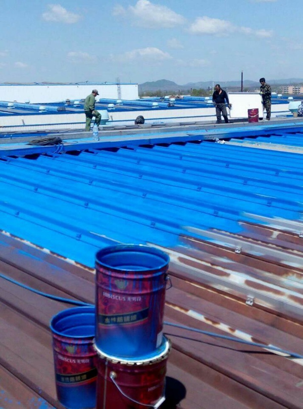 水性彩鋼瓦漆：琦琦傳說的原創設計紀實