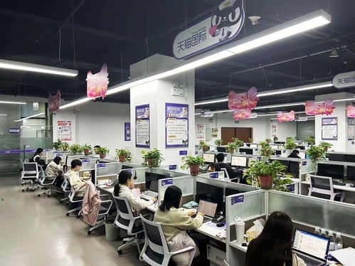 揚(yáng)州天貓國際自營服務(wù)中心迎咨詢高峰，300名大學(xué)生支援客服工作